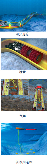 功能软件